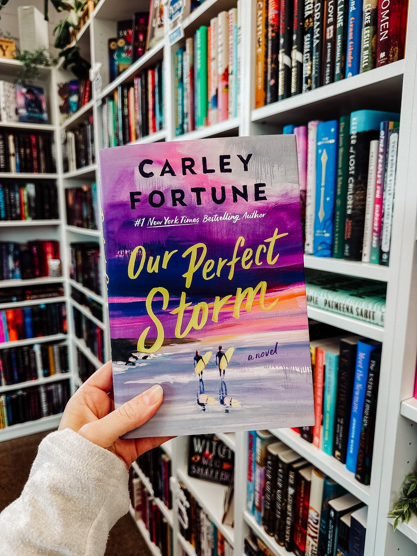Our Perfect Storm