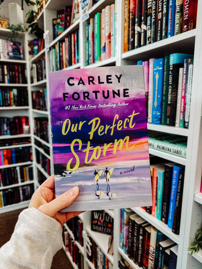 Our Perfect Storm